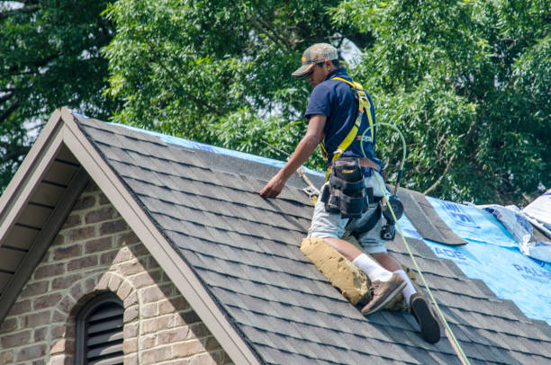 Best Roof Repair Services  in Roeland Park, KS